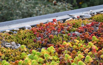 the cost of Bwlch Y Groes green roof installation