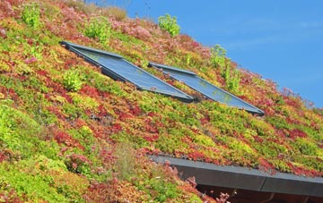 Bwlch Y Groes living roof systems